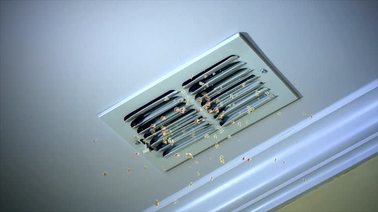 Best Best Air Duct Cleaning Company  in Saranac, MI