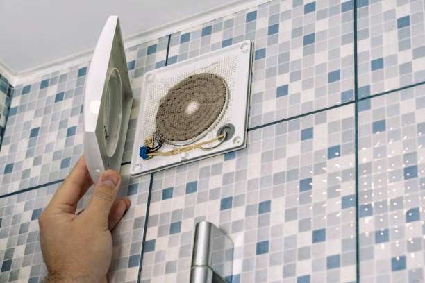 Best Affordable Air Duct Cleaning  in Saranac, MI
