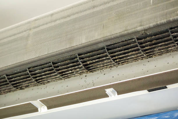  Saranac, MI Airduct Cleaning Pros